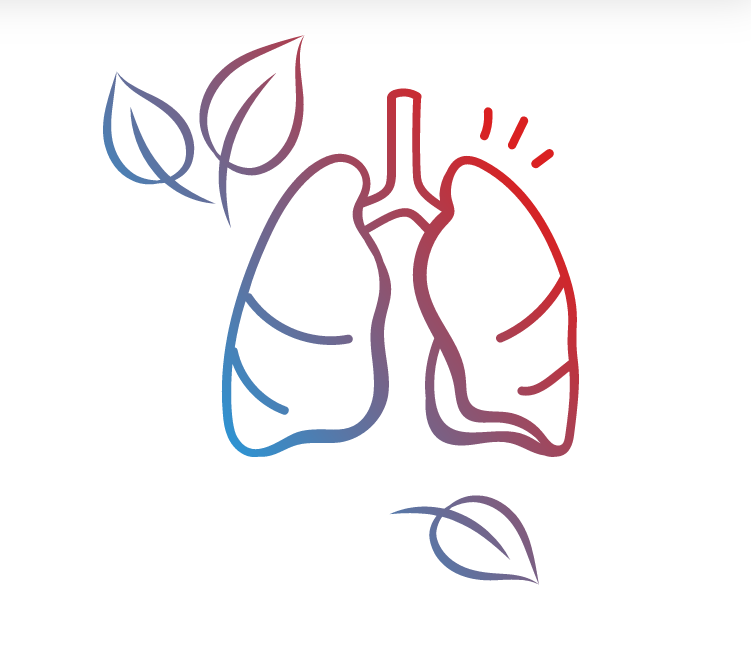 Aufmacherbild der Webseite des Medienservices "Klima & Gesundheit: Zu sehen ist die Illustration einer Lunge