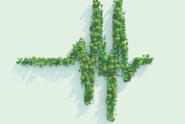 Keyvisual: Symbolbild einer Herzkurve, die aus Bäumen besteht, die man von oben sieht
